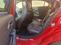 Mercedes-Benz A 250 sport Rojo - thumbnail 7