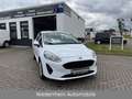 Ford Fiesta Trend 2.Hand+Klima+Tüv&AU Neu+Service Neu Weiß - thumbnail 1