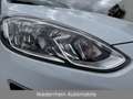 Ford Fiesta Trend 2.Hand+Klima+Tüv&AU Neu+Service Neu Weiß - thumbnail 19