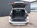 BMW X5 xDrive30d DIESEL KRAFTPAKET 19.530 ERSPARNIS Blanco - thumbnail 20
