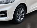 Ford Kuga Plug-In Hybrid ST-Line X Blanc - thumbnail 6
