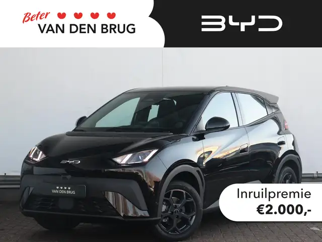 BYD Dolphin Surf Boost 43 kWh | €2000 korting | 322km WLTP | Achter