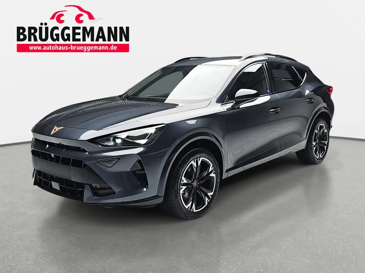 CUPRA Formentor FORMENTOR 1.5 ETSI DSG NAVI LED ACC SPURPAKET EL.H Grau - 1
