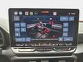CUPRA Formentor FORMENTOR 1.5 ETSI DSG NAVI LED ACC SPURPAKET EL.H Grau - thumbnail 12