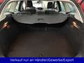 Ford Focus Kombi 1.0 EB Titanium AAC SHZ PDC Rot - thumbnail 8