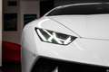 Lamborghini Huracán LP640-4 Performante 5.2 V10 640 ch - carbone Blanc - thumbnail 14
