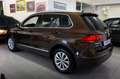 Volkswagen Tiguan Tiguan 2.0 tdi Business 150cv NAVY PARK Marrone - thumbnail 4