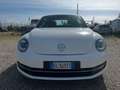 Volkswagen Maggiolino 1.6 tdi Design 105cv - thumbnail 2