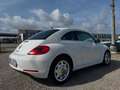 Volkswagen Maggiolino 1.6 tdi Design 105cv - thumbnail 5
