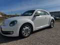 Volkswagen Maggiolino 1.6 tdi Design 105cv - thumbnail 3