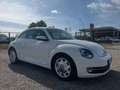 Volkswagen Maggiolino 1.6 tdi Design 105cv - thumbnail 1