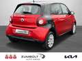 smart forFour passion + Klima + Panoramadach + PDC + Rojo - thumbnail 4