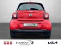 smart forFour passion + Klima + Panoramadach + PDC + Rot - thumbnail 5