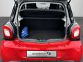 smart forFour passion + Klima + Panoramadach + PDC + Rojo - thumbnail 15