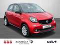 smart forFour passion + Klima + Panoramadach + PDC + Rojo - thumbnail 3