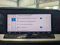 Ford Grand Tourneo Active 7-Sit Bi-LED Cam Pano AHK Grau - thumbnail 28