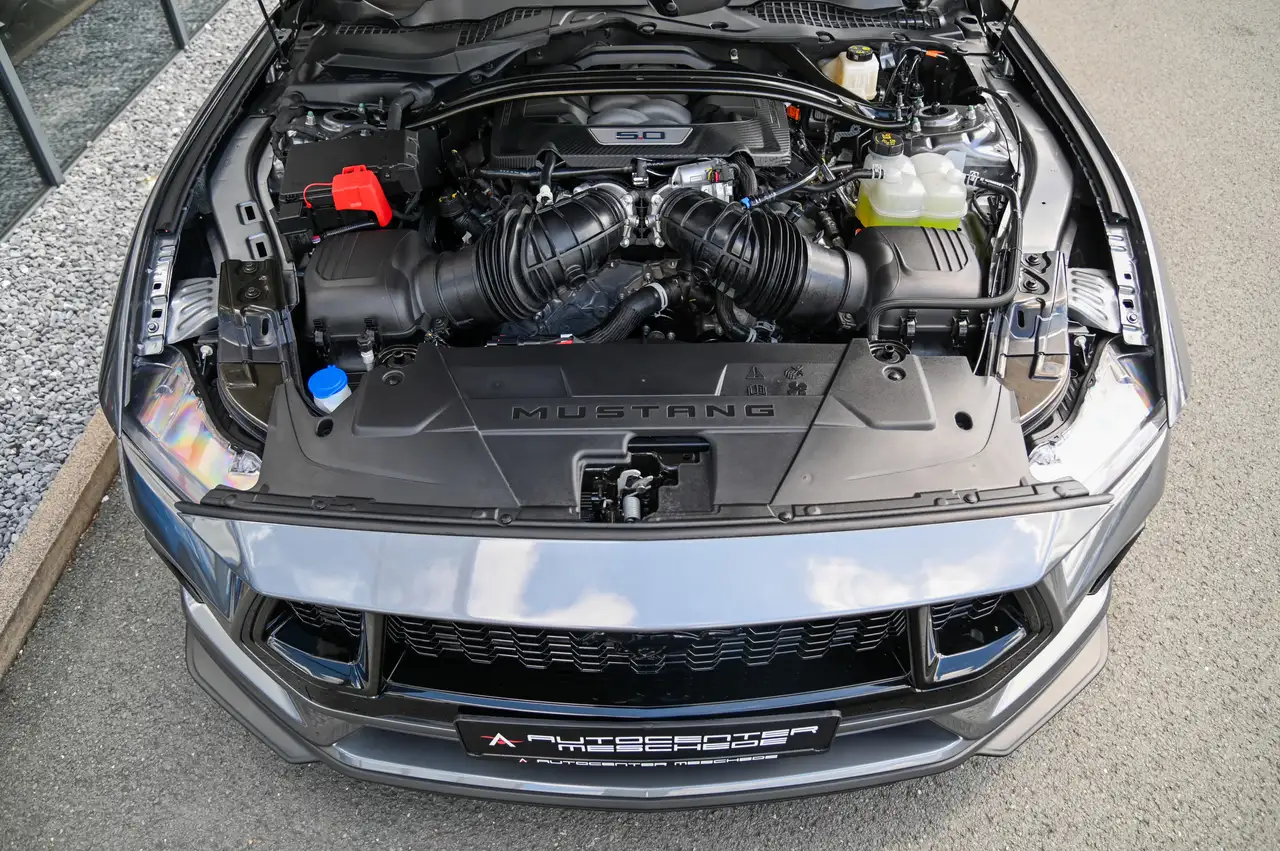 Ford Mustang Cabrio 5.0 V8 GT B&O *Nite Pony Styling* 7