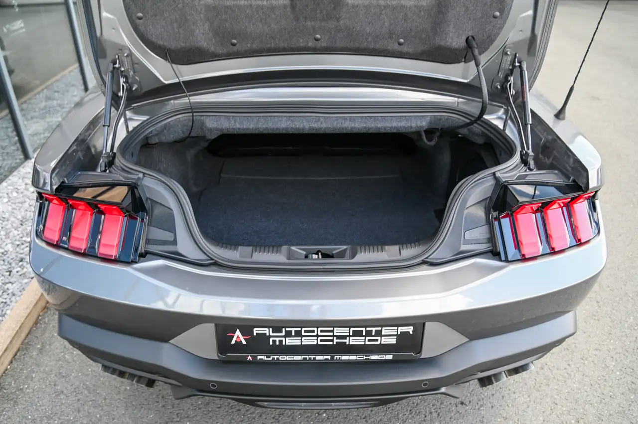 Ford Mustang Cabrio 5.0 V8 GT B&O *Nite Pony Styling* 8