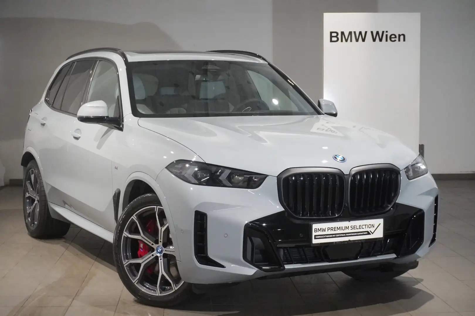 BMW X5 X5 xDrive50e Grau - 1