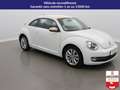 Volkswagen Coccinelle 1.4 TSI 150 BMT - Color DSG7 Weiß - thumbnail 3