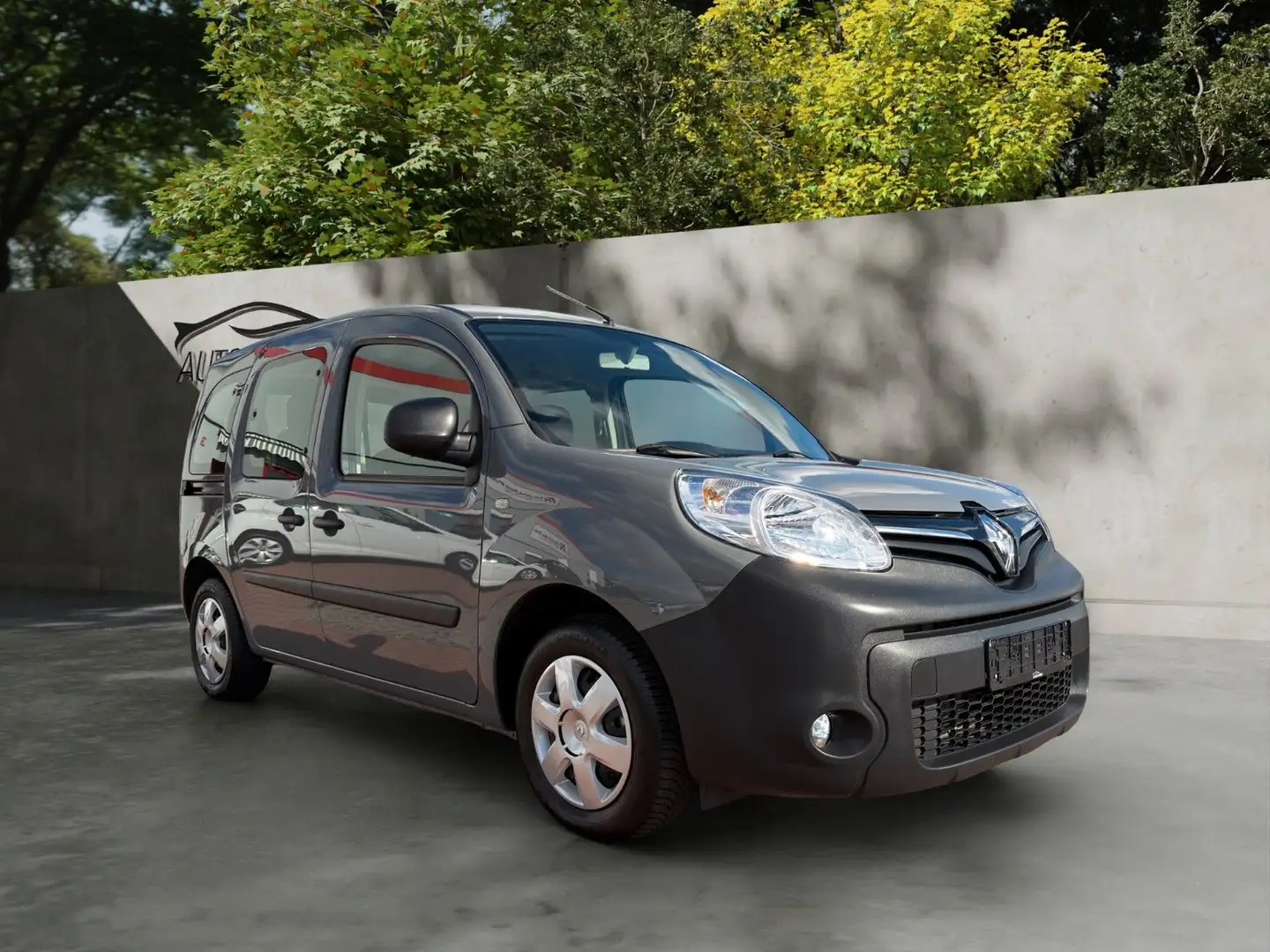 Renault Kangoo / Rollstuhl-Umbau-AMF Bruns Grau - 1