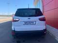 Ford EcoSport 1.0 EcoBoost Active Bianco - thumbnail 4