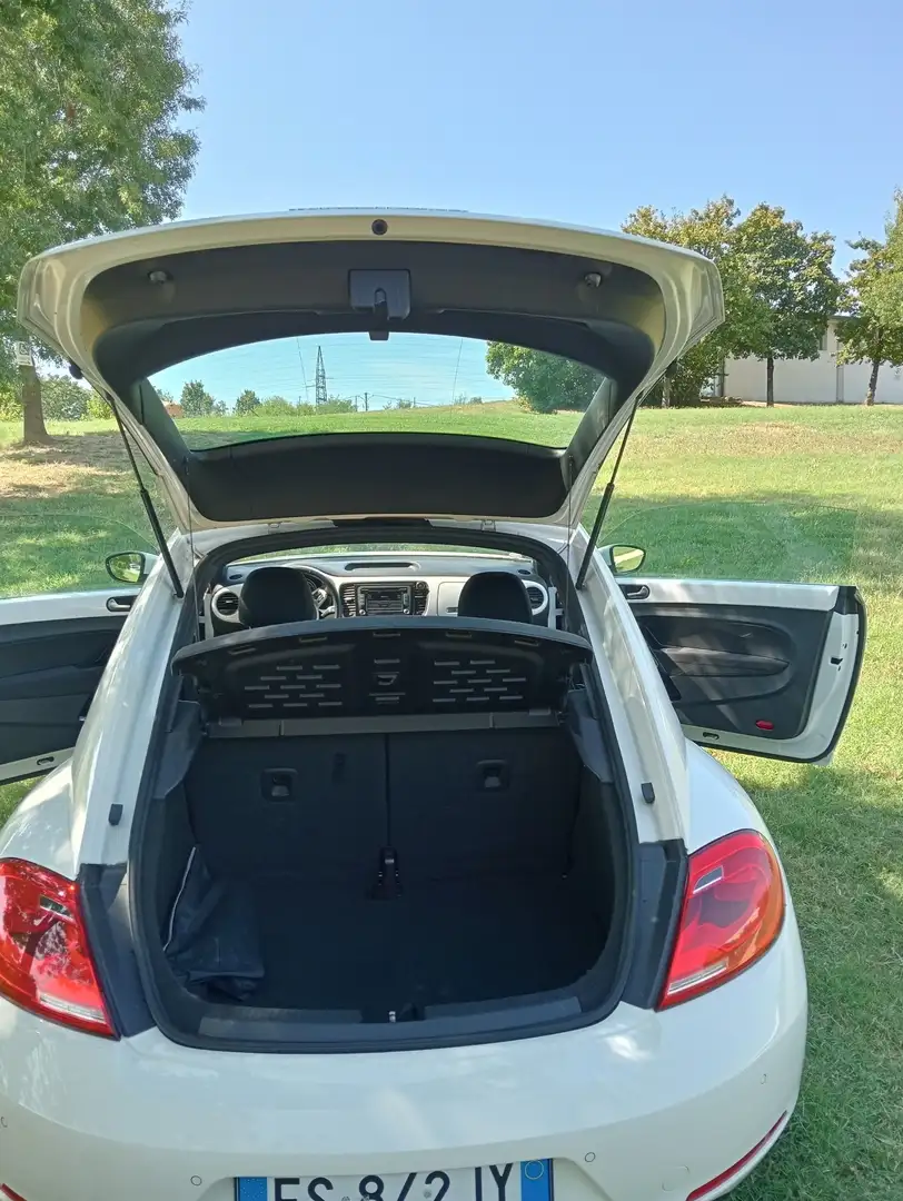 Volkswagen Maggiolino 1.6 tdi Design 105cv - 2