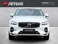 Volvo XC60 Inscription T8 19''LM AHK Pano ACC Harman DAB Rück Blanc - thumbnail 8