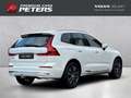 Volvo XC60 Inscription T8 19''LM AHK Pano ACC Harman DAB Rück Blanc - thumbnail 2