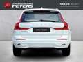 Volvo XC60 Inscription T8 19''LM AHK Pano ACC Harman DAB Rück Blanc - thumbnail 7