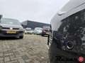 Ford B-Max 1.0 EcoBoost Titanium/1eEig/Navi/Camera Grijs - thumbnail 12