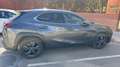 Lexus UX 250h Premium 2WD Gris - thumbnail 4