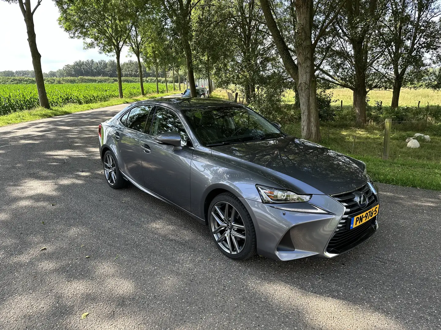 Lexus IS 300 300h Hybrid Business L. Szürke - 1