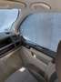 Volkswagen Bus T6 Blanco - thumbnail 25