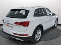 Audi Q5 35 TDI S tronic Business Harman-kardon TETTO Bianco - thumbnail 3