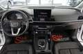 Audi Q5 35 TDI S tronic Business Harman-kardon TETTO Bianco - thumbnail 5