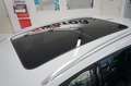 Audi Q5 35 TDI S tronic Business Harman-kardon TETTO Bianco - thumbnail 7