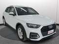 Audi Q5 35 TDI S tronic Business Harman-kardon TETTO Bianco - thumbnail 2