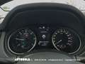 Nissan Qashqai Qashqai 1.5 DCI Business Automatica Bianco - thumbnail 5