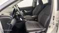 Toyota Yaris 116h Dynamic Business 5p + Programme Beyond Zero A - thumbnail 12