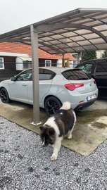 1.6 JTD M-Jet Distinctive Start&Stop