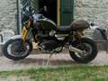 Triumph Scrambler 1200 xe Verde - thumbnail 2