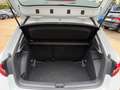 Skoda Fabia 1.0 TSI 95 CV Young Edition OK NEOPATENTATI Bianco - thumbnail 12