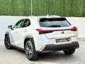 Lexus UX 250h 2.0 Business Navigation Gris - thumbnail 8