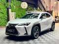 Lexus UX 250h 2.0 Business Navigation Gris - thumbnail 1