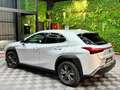 Lexus UX 250h 2.0 Business Navigation Gris - thumbnail 4