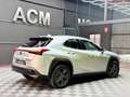 Lexus UX 250h 2.0 Business Navigation Gris - thumbnail 5