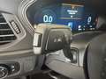 Ford Focus ST-Line X B&O VerkehrszeichenER LED Kamera Blau - thumbnail 19