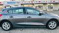 Ford Focus 1.0 EcoBoost Start-Stopp-System TREND Grau - thumbnail 9
