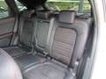 Ford Kuga 2.5 PHEV ST-LINE X Led Navi 18 Inch Trekhaak 2021 Weiß - thumbnail 18